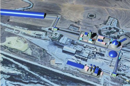 Riebeeck Plant Sketch